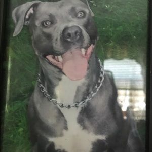 Meet your Posher, Josh